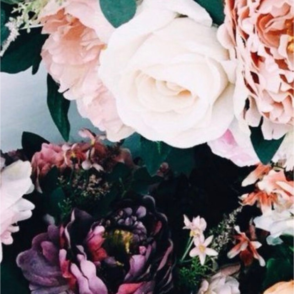 Meet your Posher, Casey